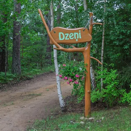 Dzeni *